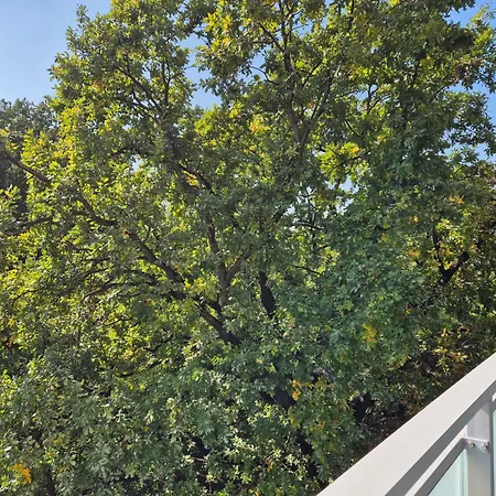 Apartament Great Imielin 2 *