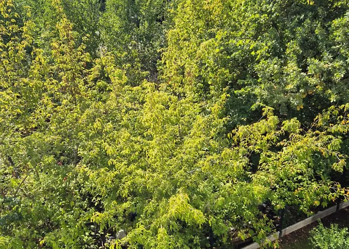 شقة Great Imielin 2