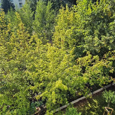 Daire Great Imielin 2